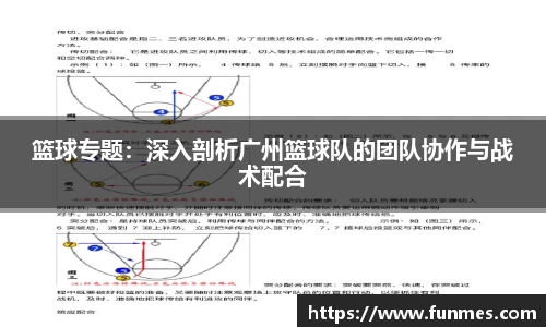篮球专题：深入剖析广州篮球队的团队协作与战术配合