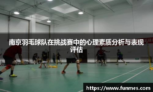 南京羽毛球队在挑战赛中的心理素质分析与表现评估