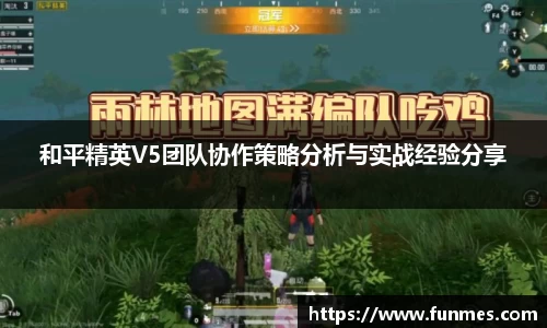 和平精英V5团队协作策略分析与实战经验分享