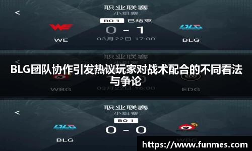 BLG团队协作引发热议玩家对战术配合的不同看法与争论